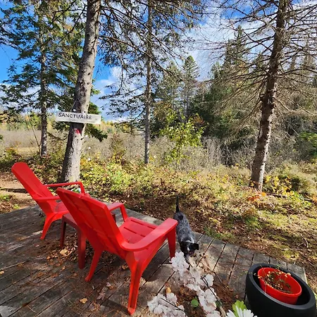 Chalets Nabu La Sacacomie - Riviere - Billard Saint-Alexis-des-Monts Exterior photo