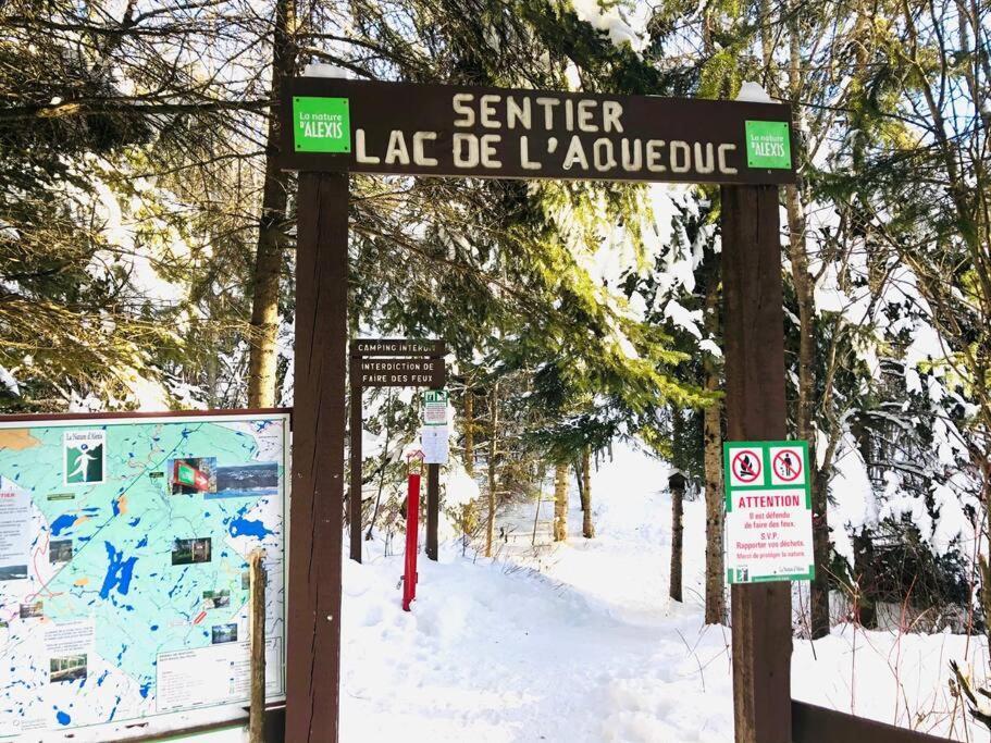 Nabu La Sacacomie - Riviere - Billard Chalet Saint-Alexis-des-Monts