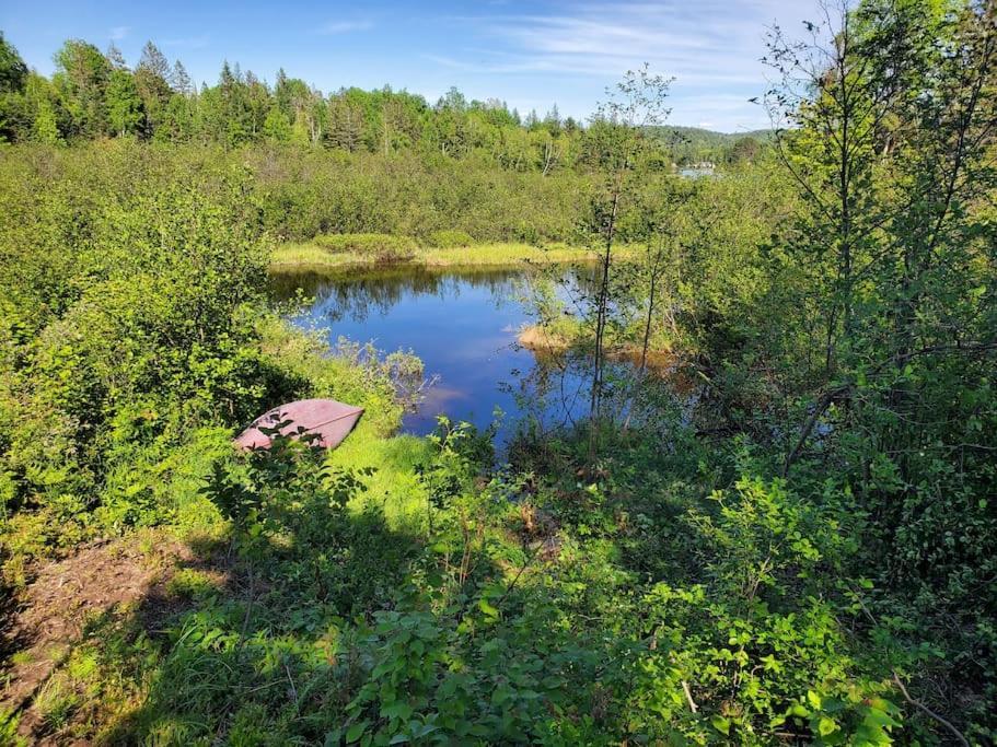Nabu La Sacacomie - Riviere - Billard *