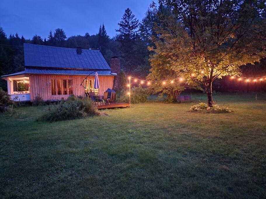 Nabu La Sacacomie - Riviere - Billard Chalet