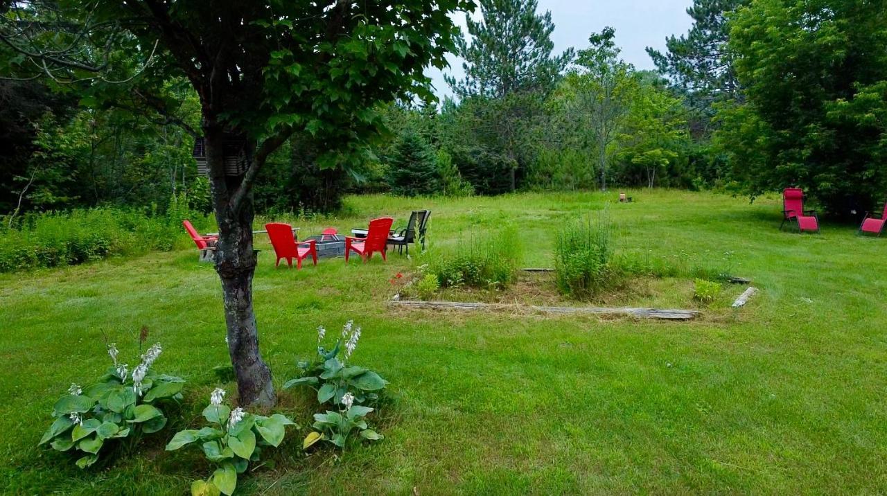 Nabu La Sacacomie - Riviere - Billard *
