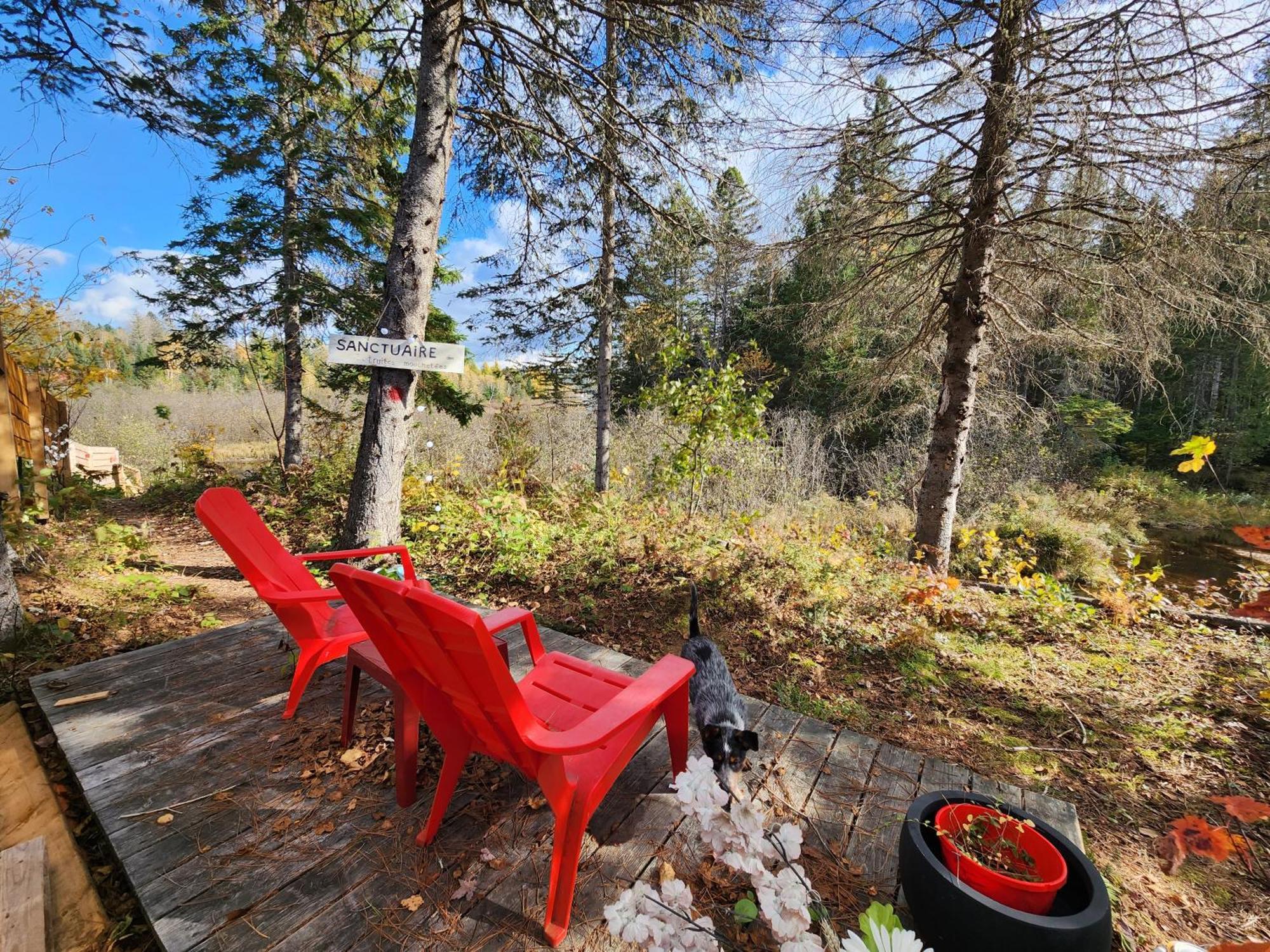 Nabu La Sacacomie - Riviere - Billard Chalet